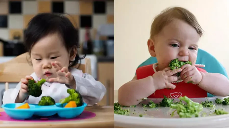 Ăn dặm BLW là phương pháp cho bé tự ăn thức ăn theo ý mình
