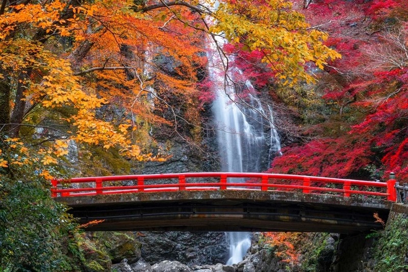 Du lịch Osaka đến Minoo Park với vẻ đẹp huyền ảo, thanh bình