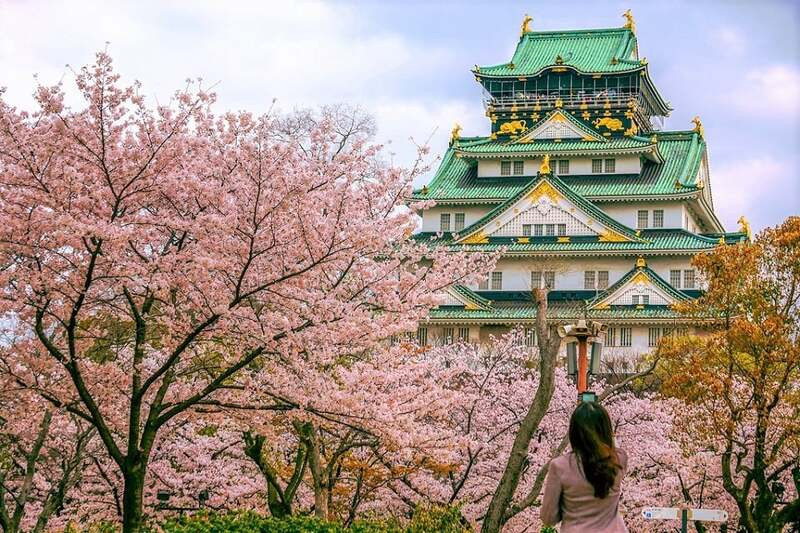 Thời điểm đẹp để đến Thành Osaka là mùa xuân khi hoa anh đào nở